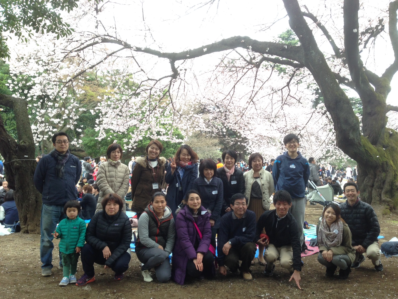 満開の桜の樹の下で、寄付会員の皆さんとお花見会を開催しました！