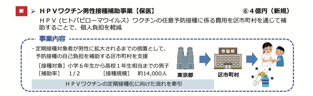 新　 ＨＰＶワクチン男性接種補助事業【保医】 ⑥４億円（新規）
ＨＰＶ (ヒトパピローマウイルス）ワクチンの任意予防接種に係る費用を区市町村を通じて補助することで、個人負担を軽減
・定期接種対象者が男性に拡大されるまでの措置として、予防接種の自己負担を補助する区市町村を支援
［接種対象］小学６年生から高校１年生相当までの男子
［補助率］ １/２ ［接種規模］ 約14,000人
ＨＰＶワクチンの定期接種化に向けた流れを牽引