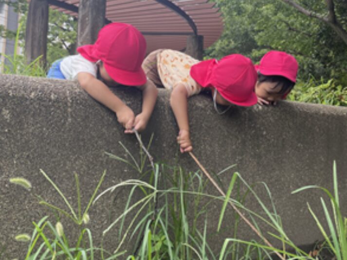 子供達が外で遊ぶ様子