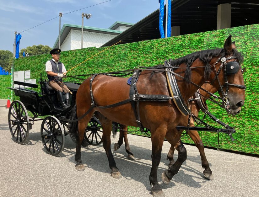 東御苑を訓練で走る馬車
