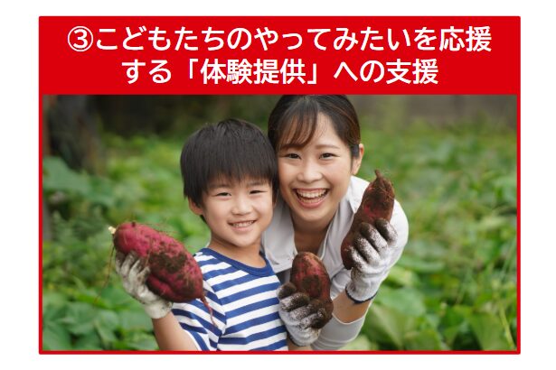 ③こどもたちのやってみたいを応援する「体験提供」への支援